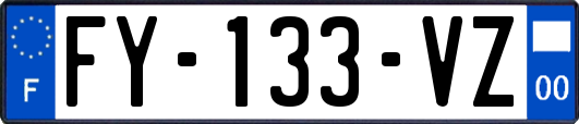 FY-133-VZ