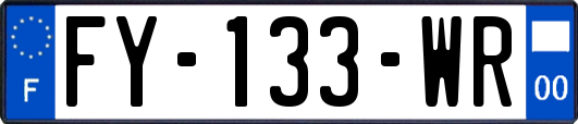 FY-133-WR