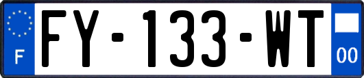 FY-133-WT