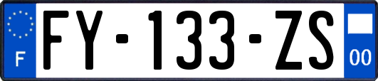 FY-133-ZS