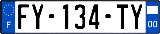 FY-134-TY