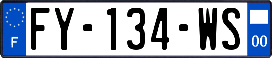 FY-134-WS