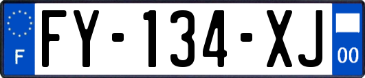 FY-134-XJ