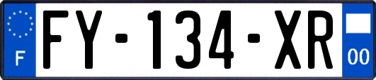 FY-134-XR