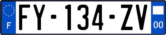 FY-134-ZV