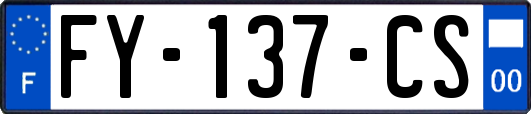 FY-137-CS