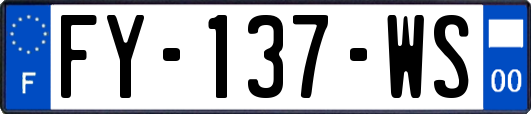 FY-137-WS