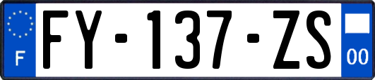 FY-137-ZS