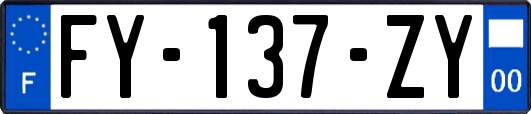 FY-137-ZY