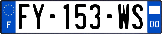 FY-153-WS