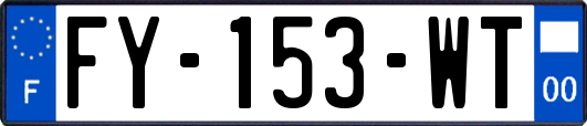 FY-153-WT
