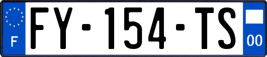 FY-154-TS