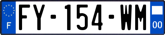 FY-154-WM