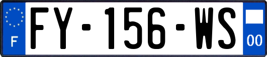 FY-156-WS
