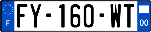 FY-160-WT