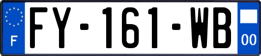 FY-161-WB