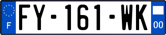 FY-161-WK