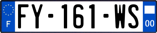 FY-161-WS