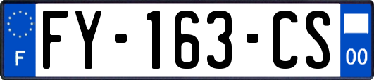 FY-163-CS