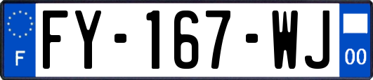 FY-167-WJ