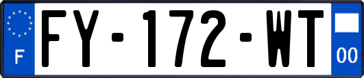 FY-172-WT
