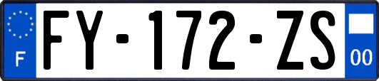 FY-172-ZS