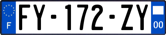 FY-172-ZY