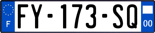 FY-173-SQ