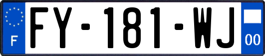 FY-181-WJ