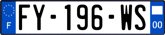 FY-196-WS