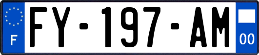 FY-197-AM