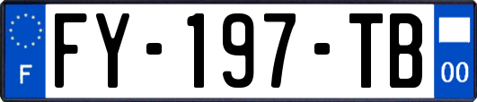 FY-197-TB