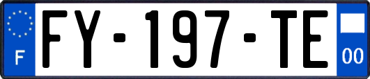 FY-197-TE