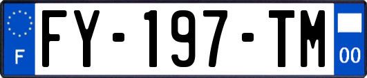 FY-197-TM