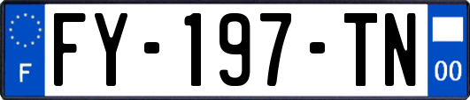 FY-197-TN