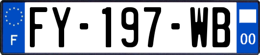 FY-197-WB