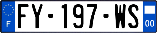 FY-197-WS
