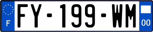 FY-199-WM