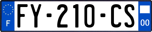 FY-210-CS