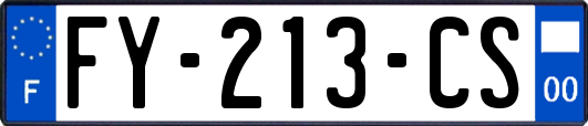 FY-213-CS