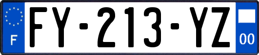 FY-213-YZ