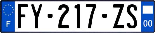 FY-217-ZS