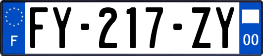 FY-217-ZY