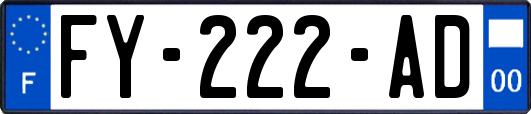 FY-222-AD