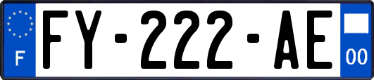 FY-222-AE