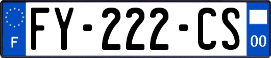 FY-222-CS
