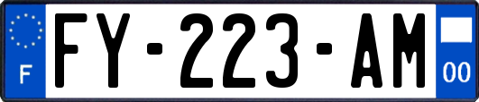 FY-223-AM