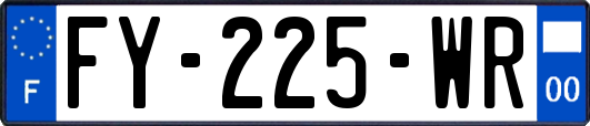 FY-225-WR