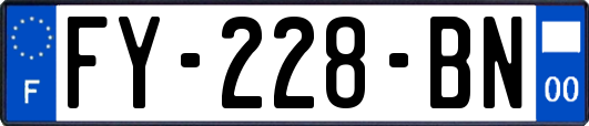 FY-228-BN