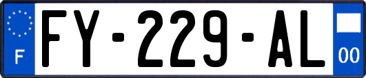 FY-229-AL